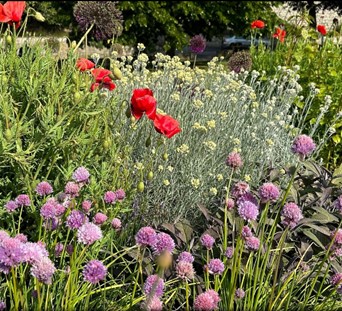 Course Image for Q004147A Dementia Friendly Gardening