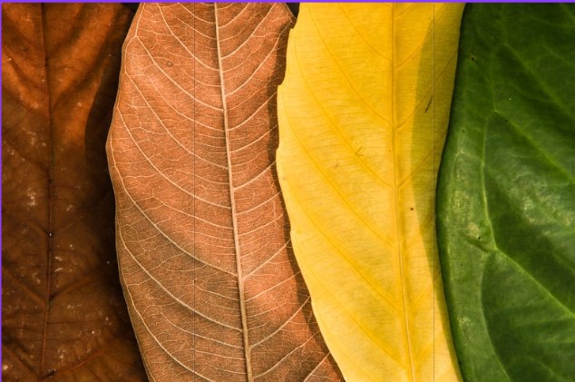 Course Image for R254122A Art Appreciation & Preparatory Practice 1 - The Art Of Seasons